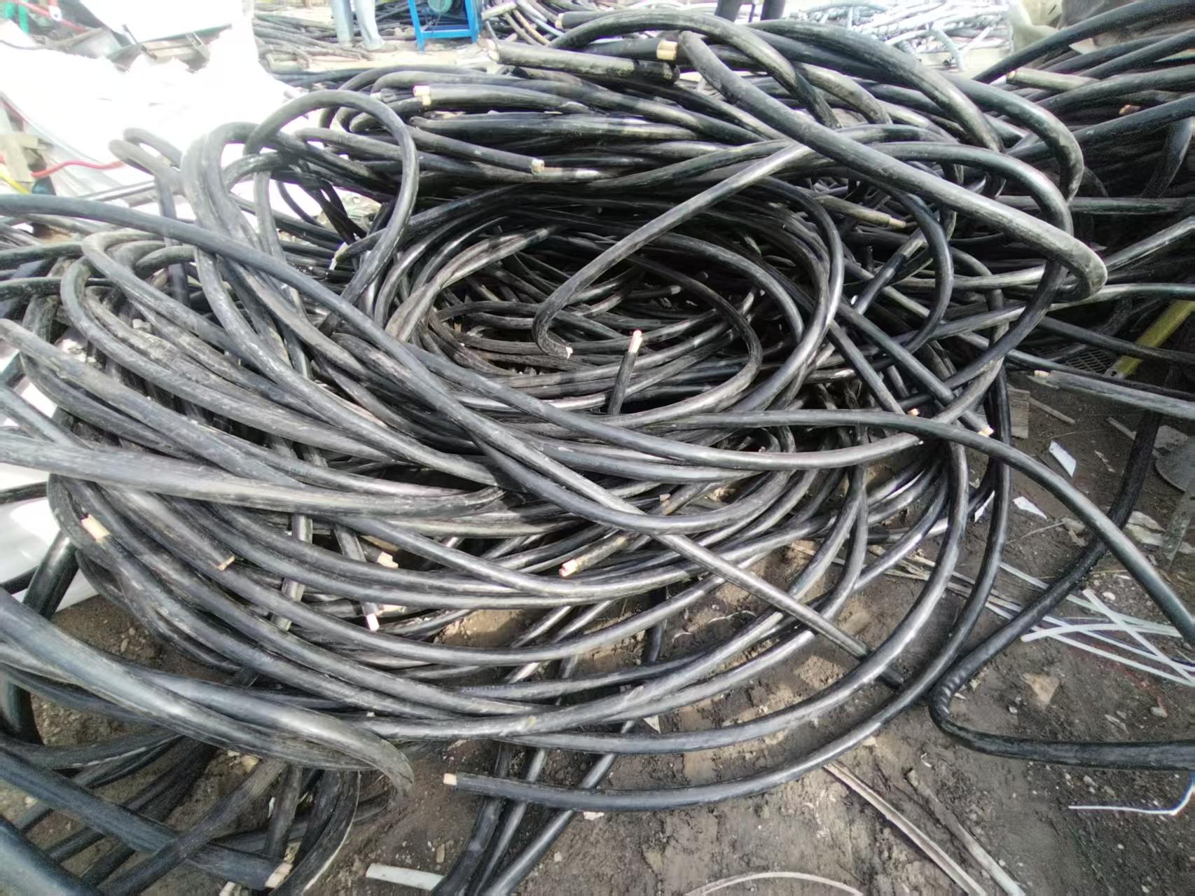 62284841.jpg 2.jpg